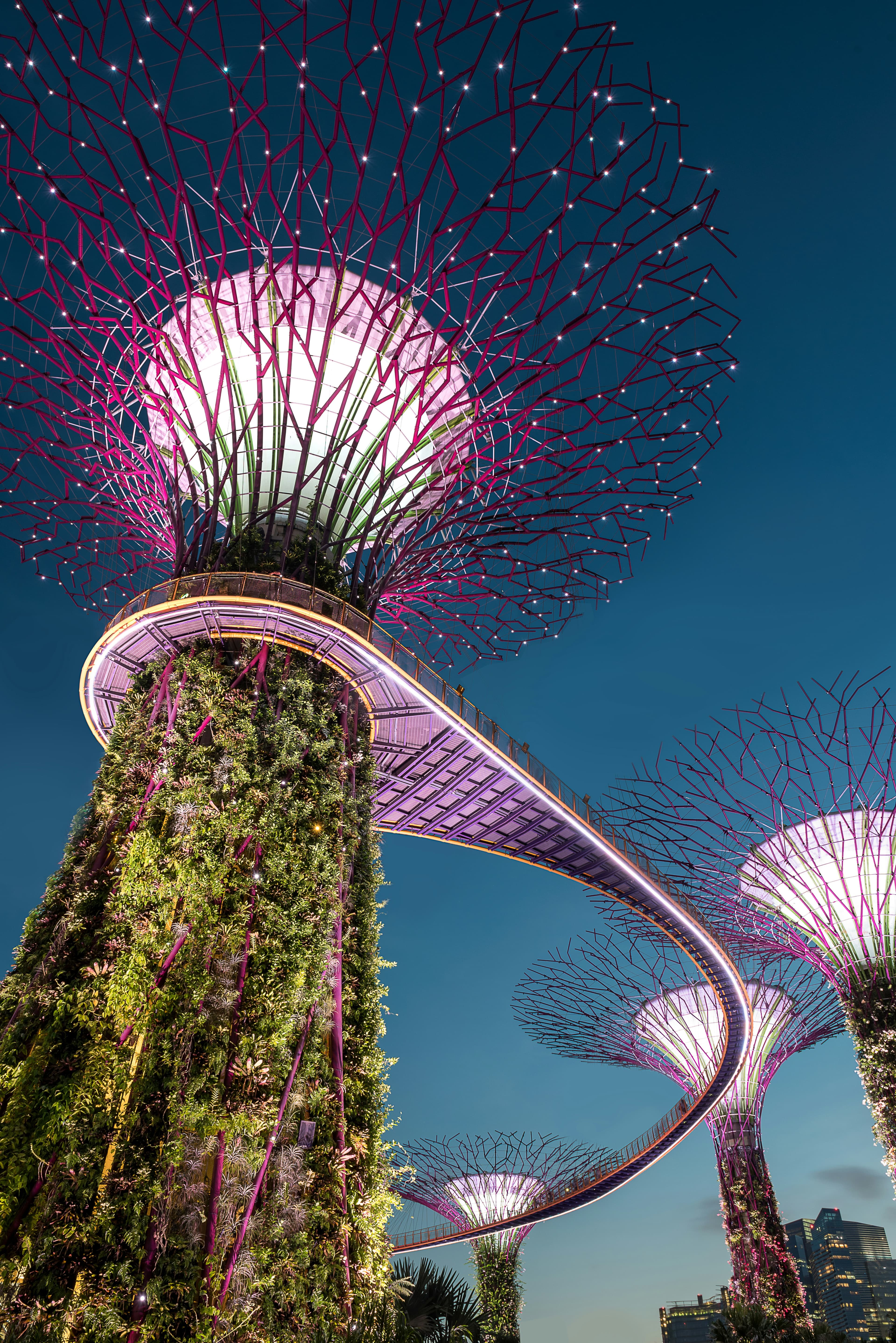Singapore Flag